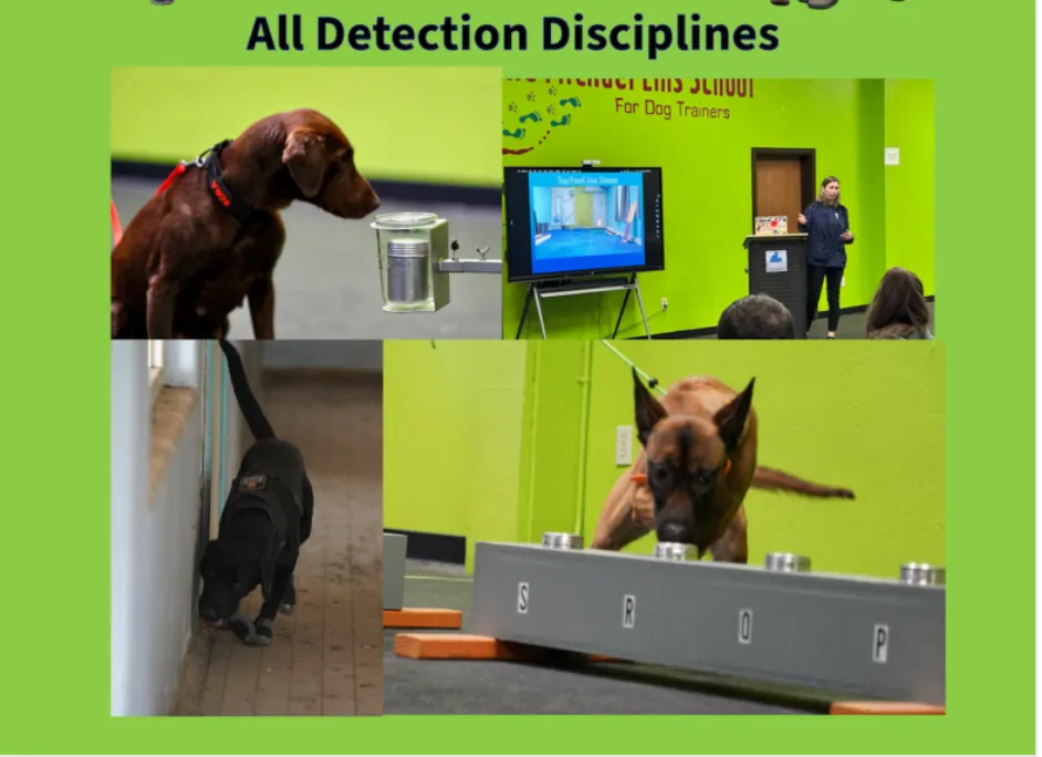 Detection Dog Trainer Immersive Class (Cameron Ford and Michael Ellis)
