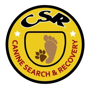 CSAR Seminar 2025