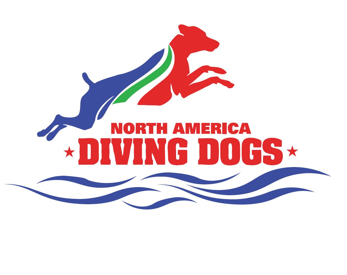 High Desert Dog Sports Alien Invasion Qualifier