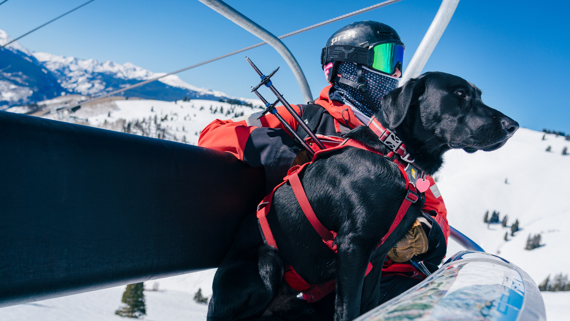A Day at the Office – Photographing an Avalanche Rescue Dog in Action
