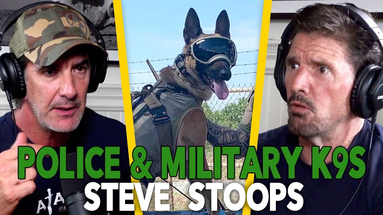 All About Police and Military Dogs