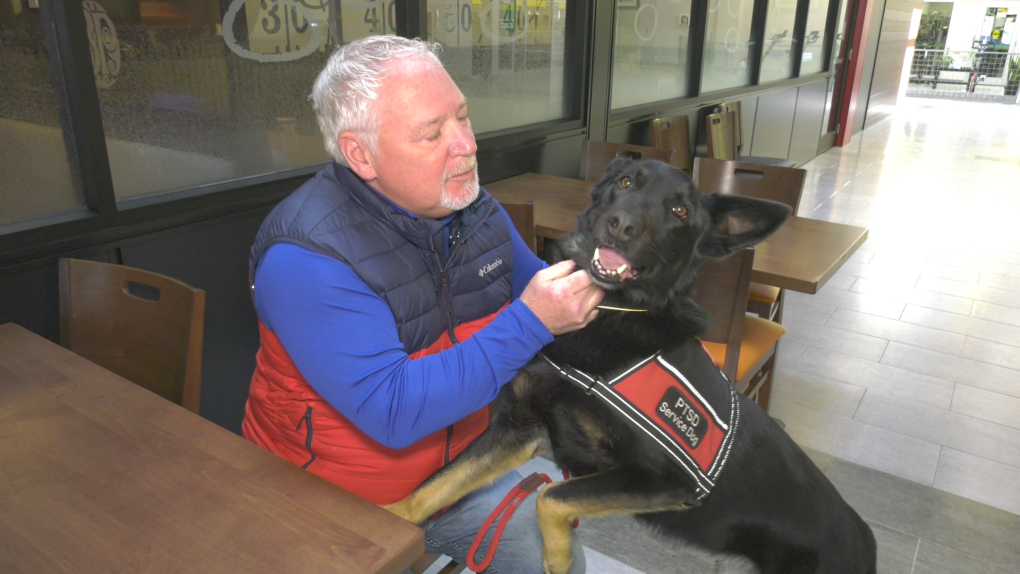 Ability Dogs Canada to launch education campaign on service dogs
