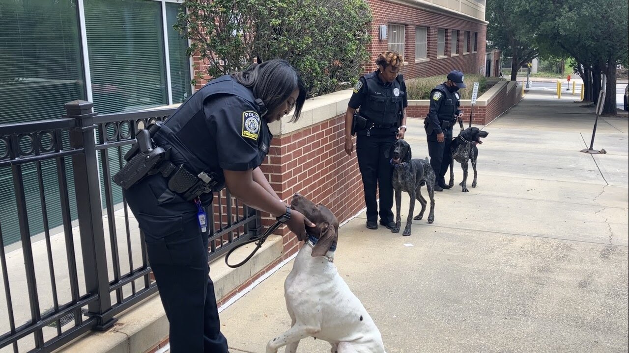 Atlanta Public Schools’ first K9 officers among newest safety measures ahead of new school year