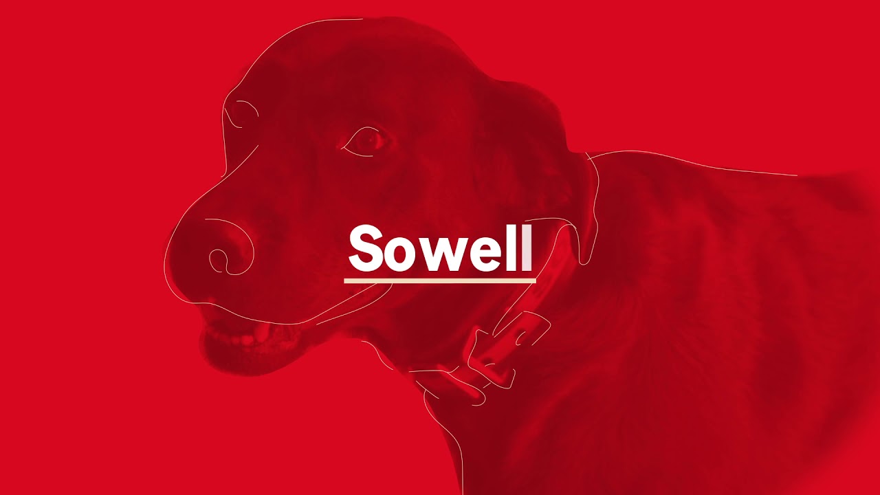 Arson Dogs Help Sniff Out Suspicious Fires | State Farm®