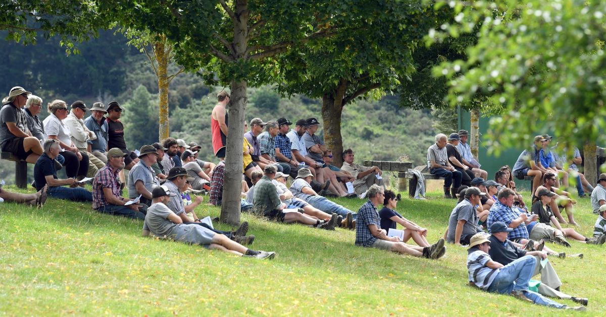 Barking mad prices at working dog sale