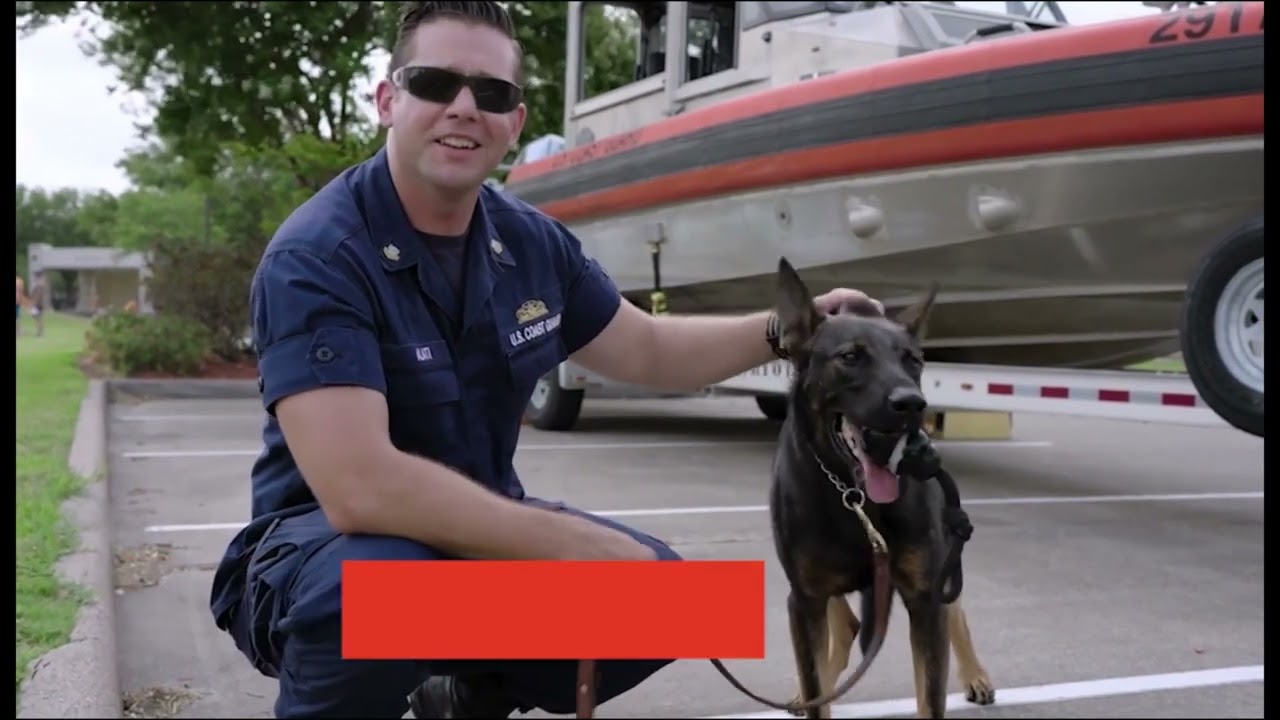 Coast Guard Foundation Mission Spotlight: Dogs of the Coast Guard
