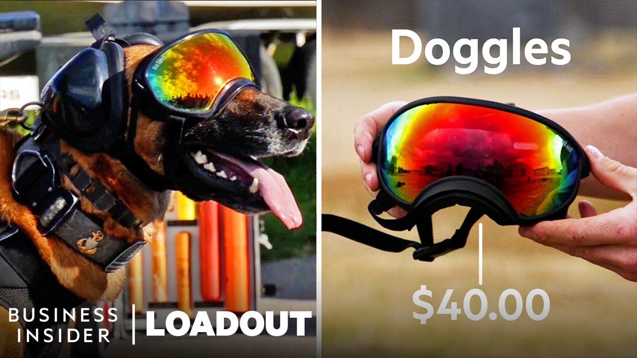Every Piece Of Gear In A Military Dog Handler’s Field Bag