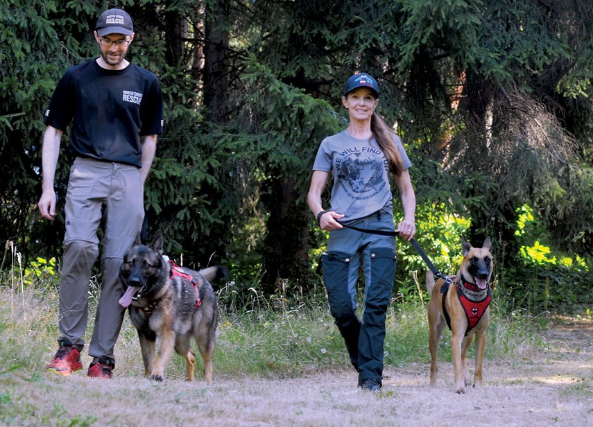 Get to know the dogs of North Shore Rescue