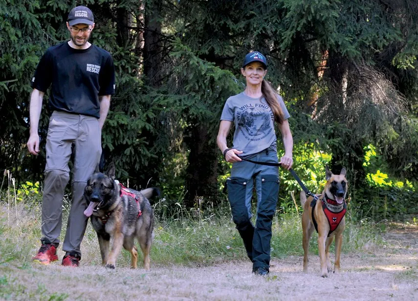 Get to know the dogs of North Shore Rescue