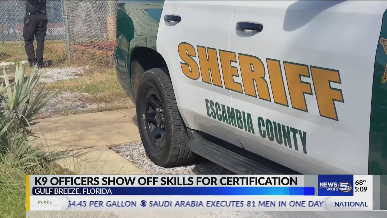 K9 officers show off skills for certification