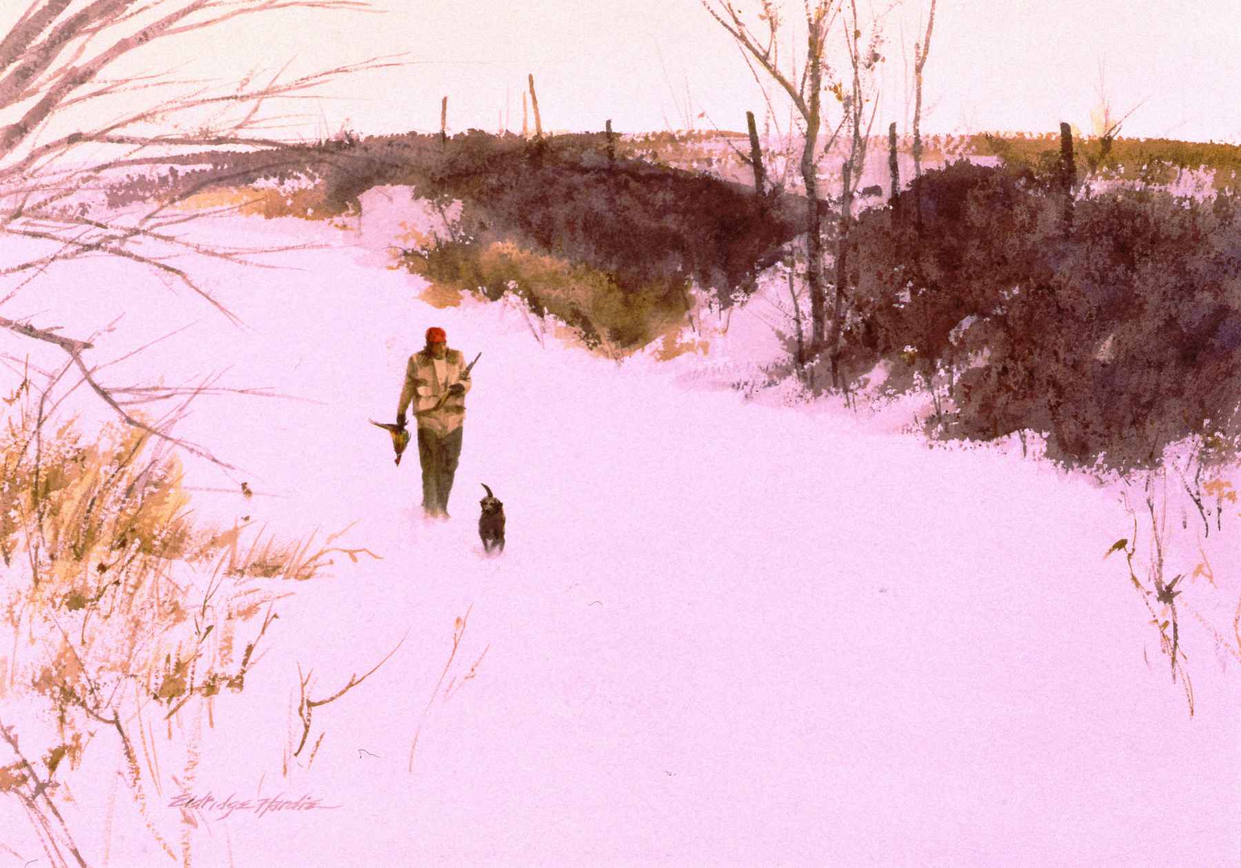 Living with hunting dogs