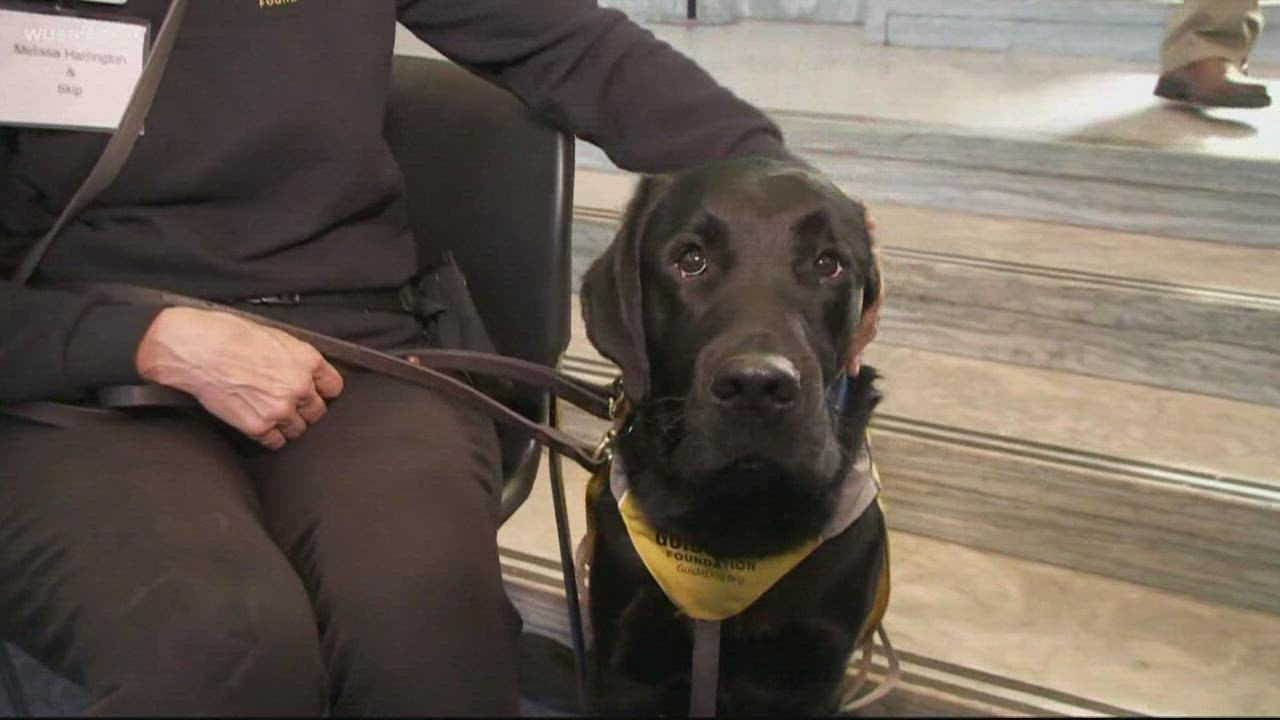 Service dogs on Capitol Hill to support coin bill