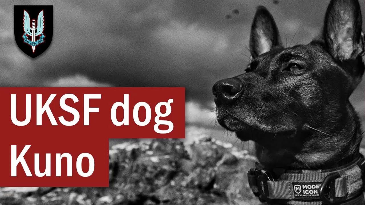 The Actions of UK Special Forces dog: Kuno