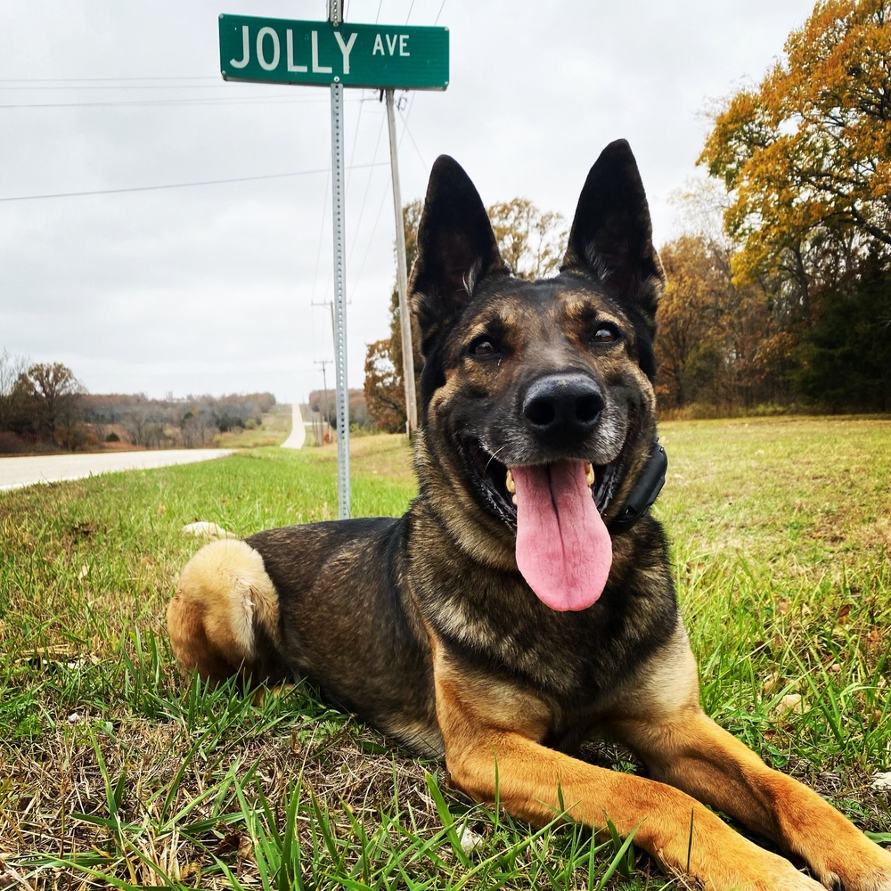 The Bond: Dog Handler Recaps K9 Veteran’s Career