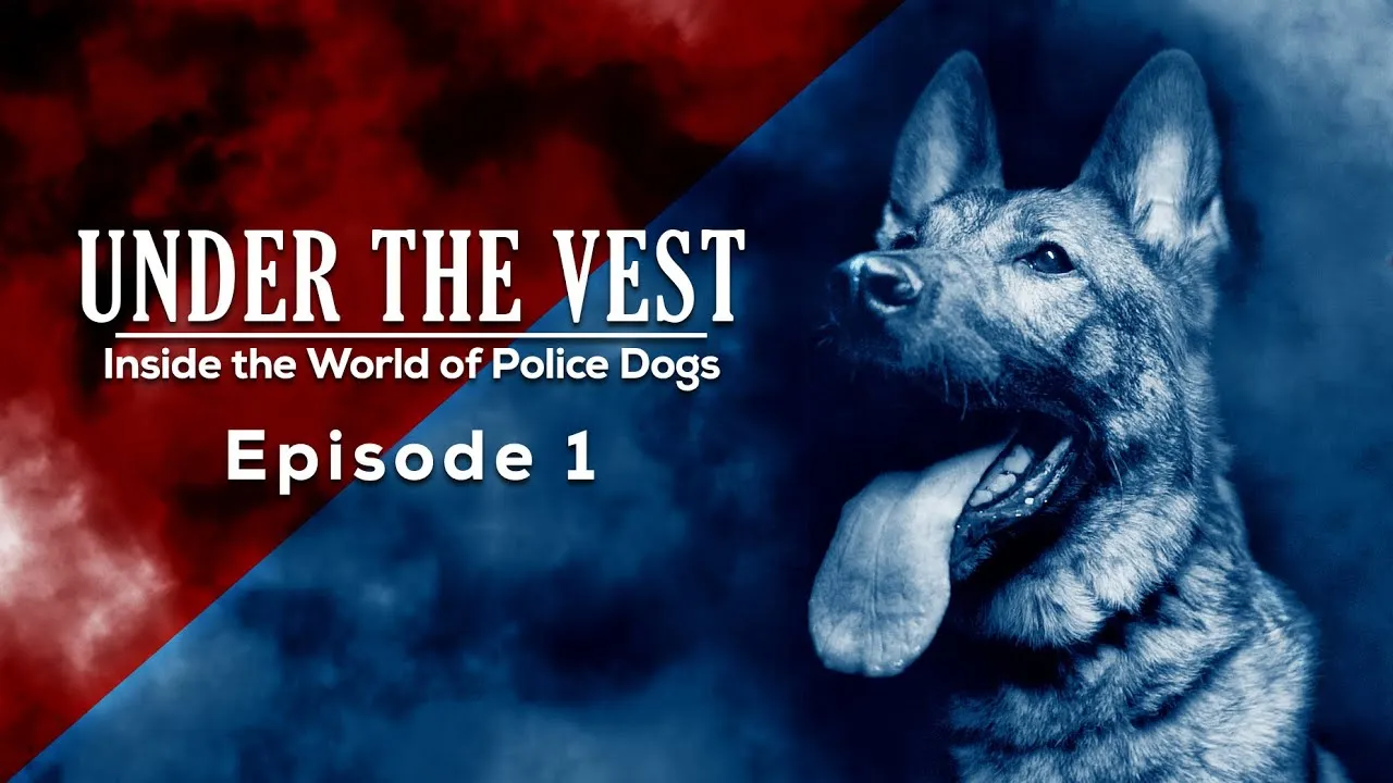 Under The Vest: Inside the World of Police Dogs