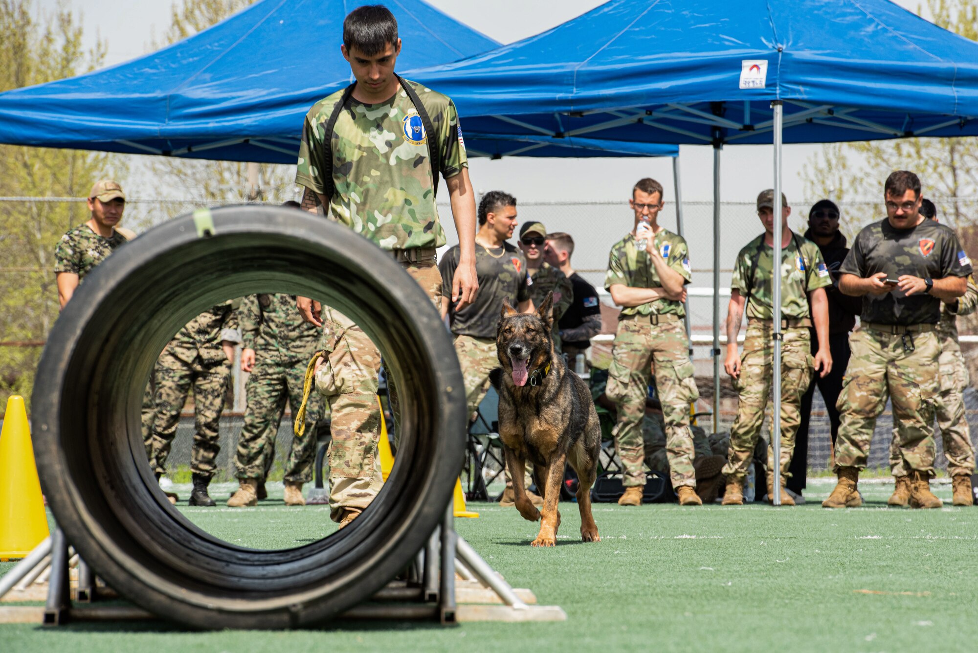 USFK MWD handlers compete for top dog