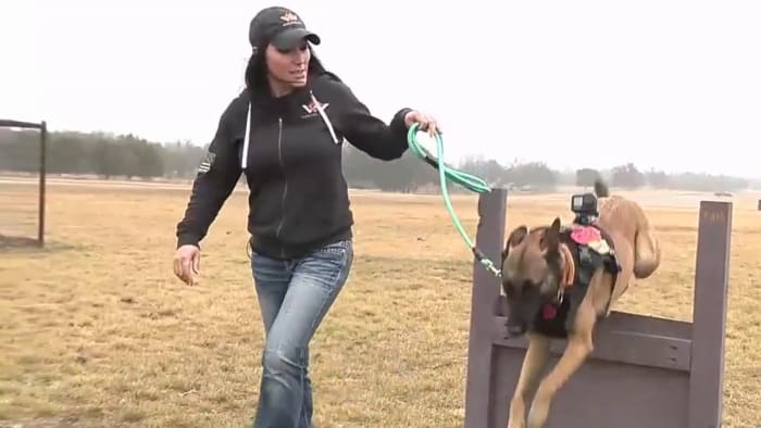 Warriors Heart helps save veterans’ lives through K9 training