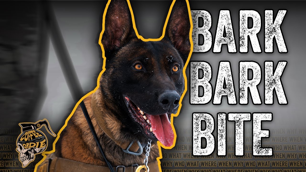 What Do Military Working Dogs Do? Coffee or Die