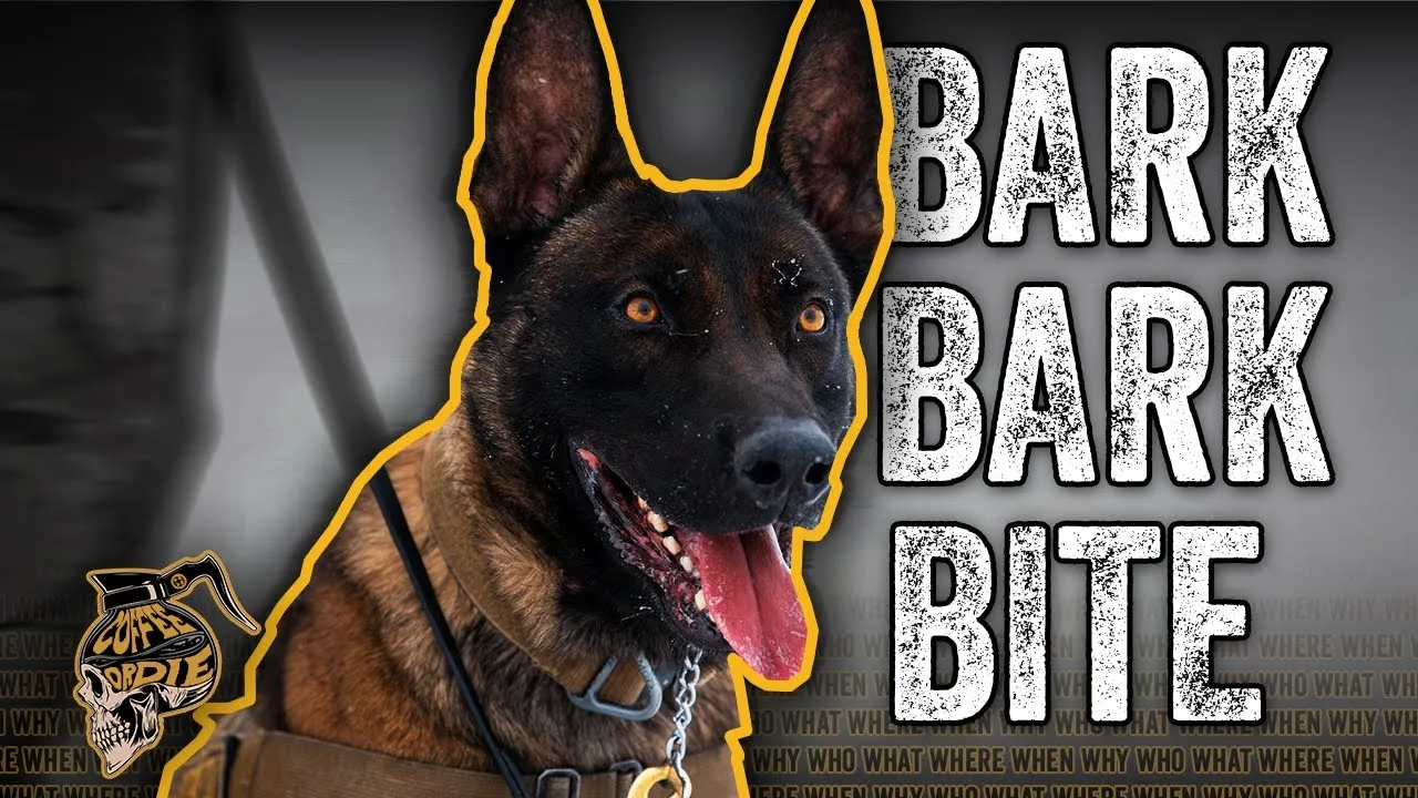 What Do Military Working Dogs Do? Coffee or Die