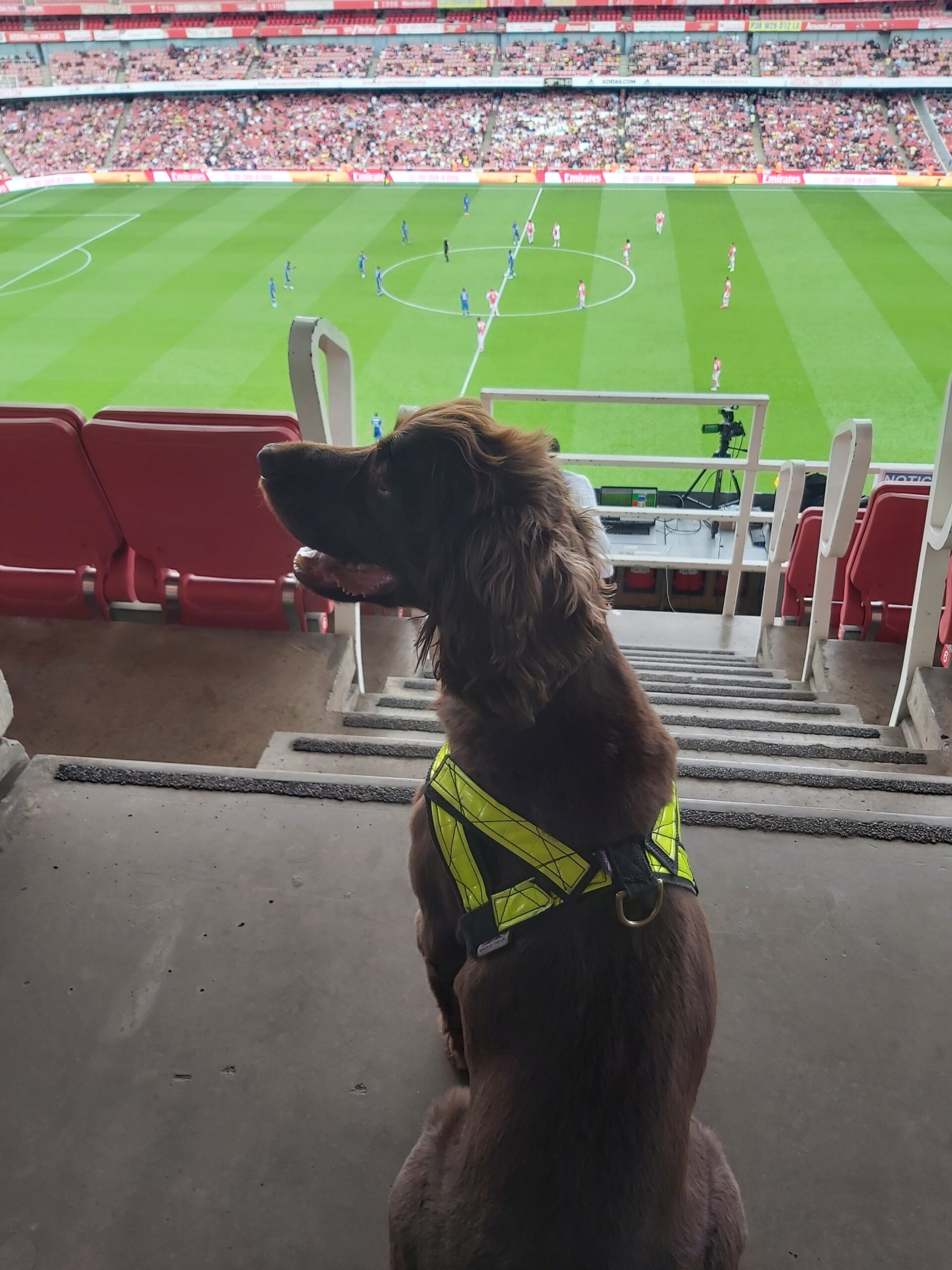 Why the new Canine Security NCTAS-P standard is critical for national security