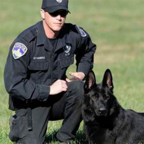 Working Dog Radio