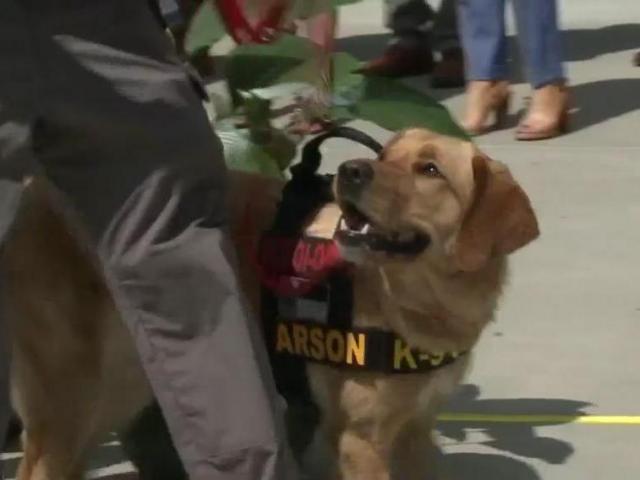 Working for treats: K9 team joins fight against arson crimes in NC