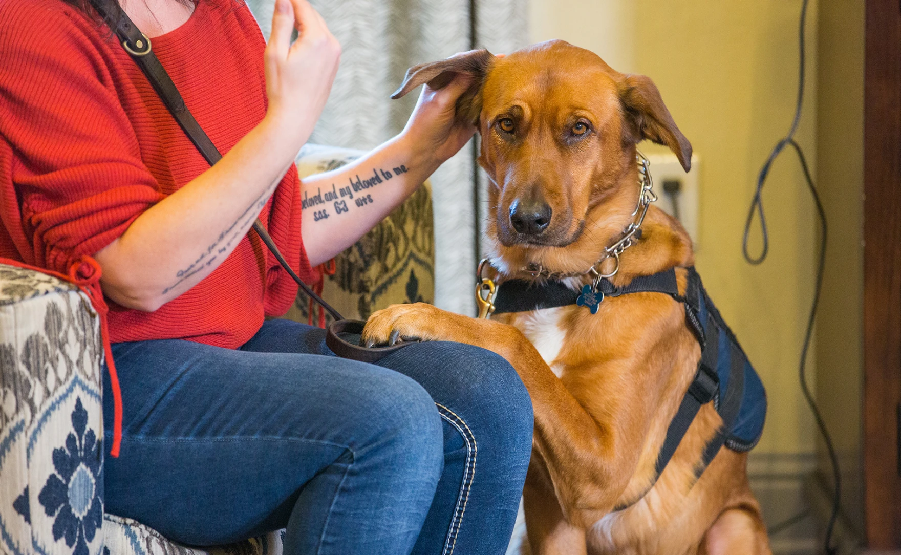 A New Leash On Life: The K9s for Warriors Story