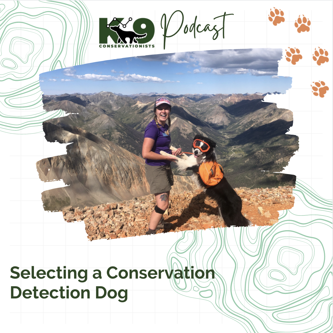 Selecting a Conservation Detection Dog