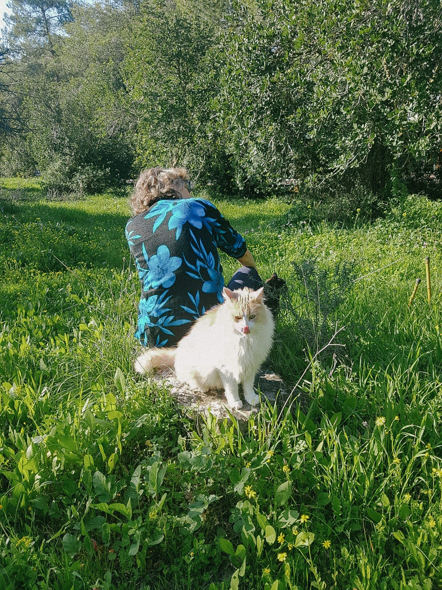 [background image] of a busy pet store environment