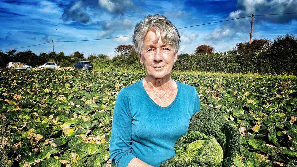 An image of a woman holding a lettuce in a field of lettuce