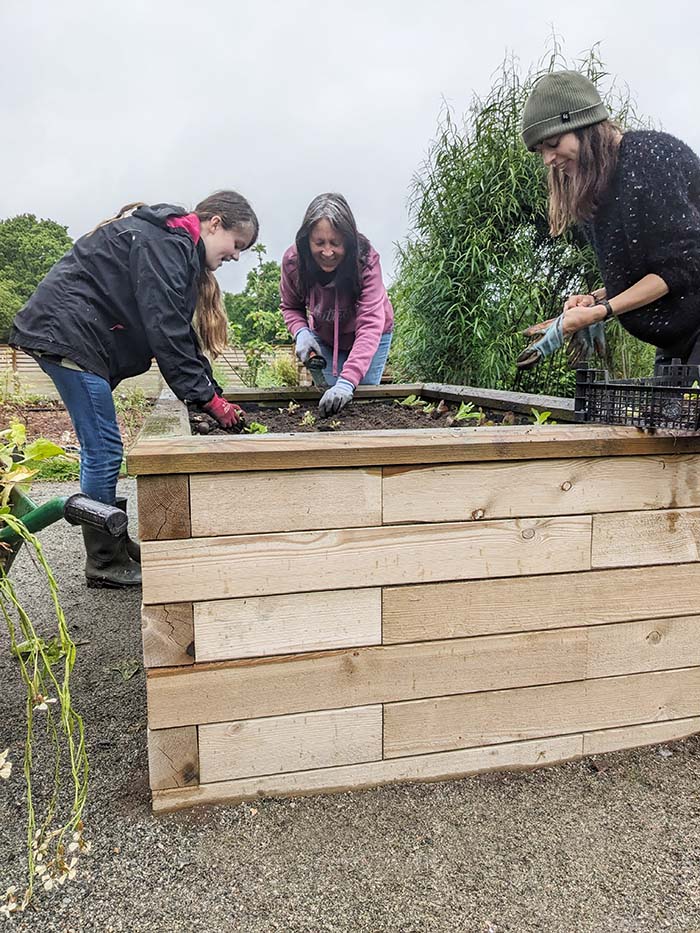 An image of people working on a raised garden bed