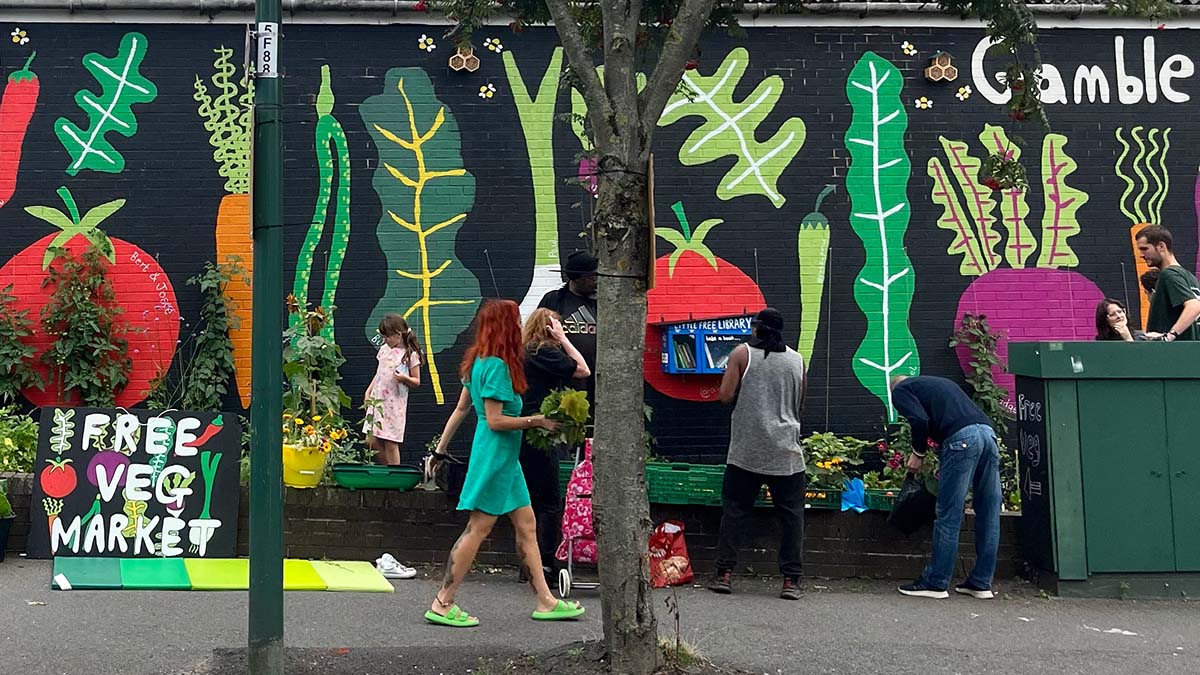 An image showing the Nottz Garden Project