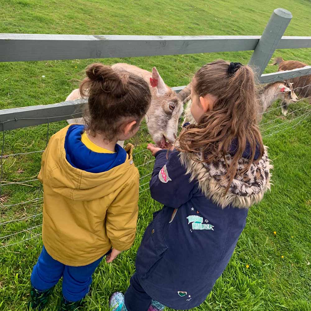 An image of children feeding a goat