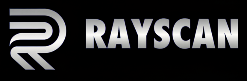 Raylabs logo with stylized letter R icon in metallic silver next to the bold text 'RAYLABS' on a black background.