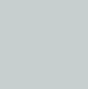 Blank pale gray square with no visible content or objects.