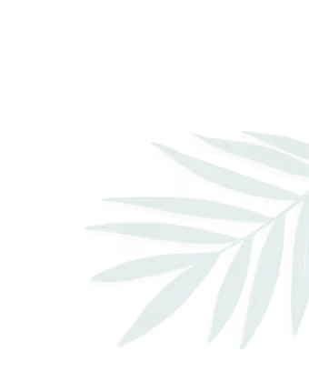 Green palm leaf with slender pointed fronds on a white background.