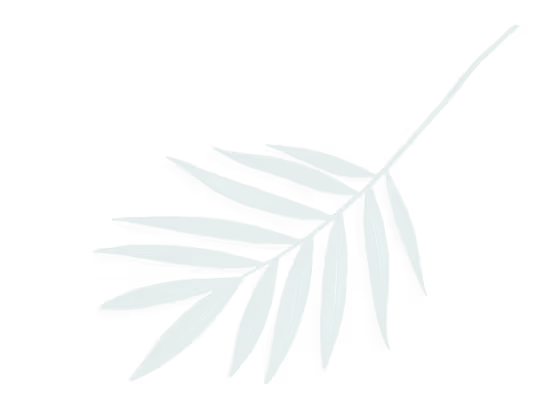 Single green palm leaf with elongated leaflets on black background.