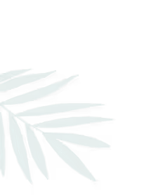 Green palm leaf with long narrow leaflets extending from left side on black background.