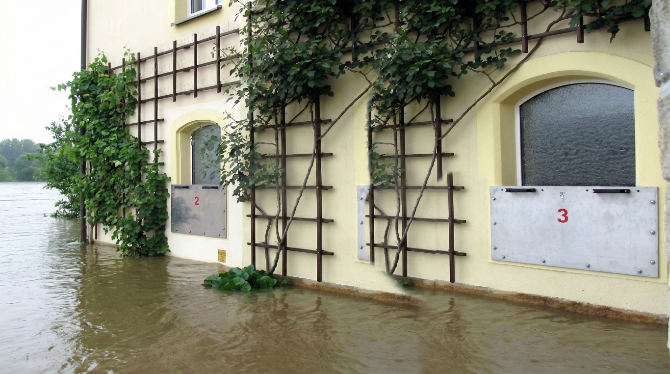 WindowShield – Anwendungsbeispiel 5