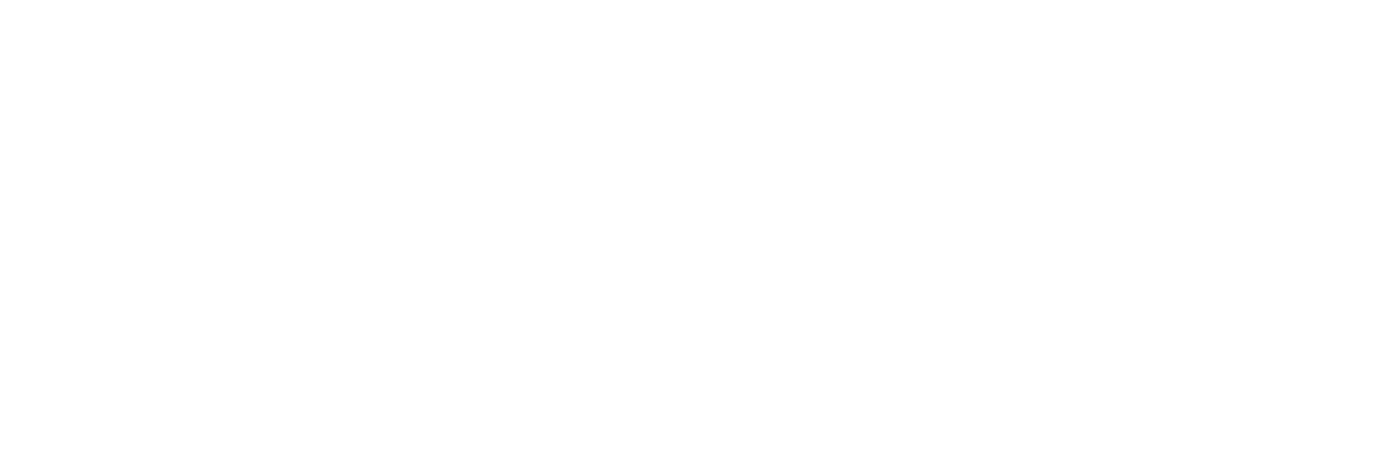 CTV Television Network Logo