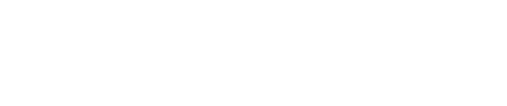 CityNews Television program Logo