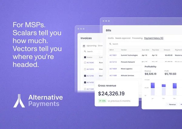 Beyond Financial Metrics: Why Your MSP Needs Vector Thinking