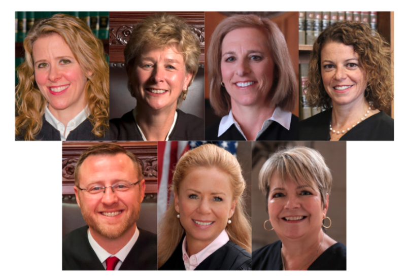 Current Wisconsin Supreme Court. Clockwise from left, Justice Rebecca Bradley, Justice Ann Walsh Bradley, Justice Jill Karofsky, Justice Rebecca Dallet, Justice Janet Protasiewicz, Chief Justice Annette Ziegler and Justice Brian Hagedorn.