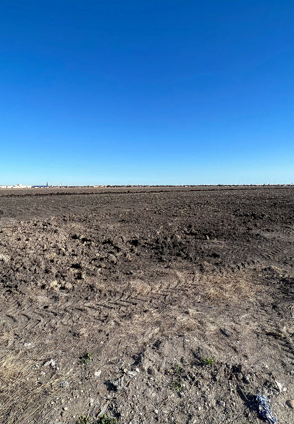 An image from land clearing and site preparation