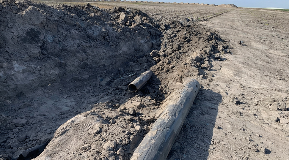 An image from land clearing