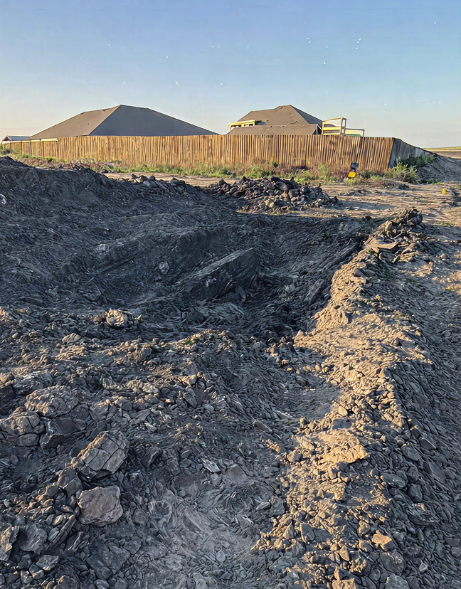 An image from land clearing