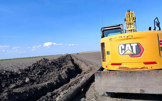 An image from land clearing