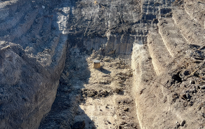 An image from land clearing