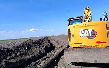 An image from land clearing