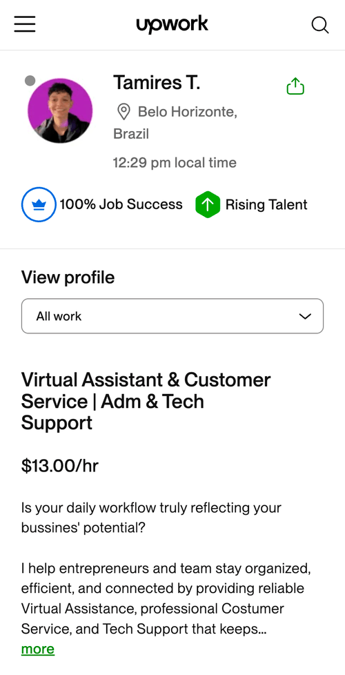 Perfil de Tamires T. na Upwork